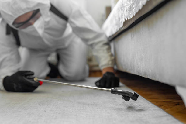 Professional Pest Control technician working in Dickson County County, TN